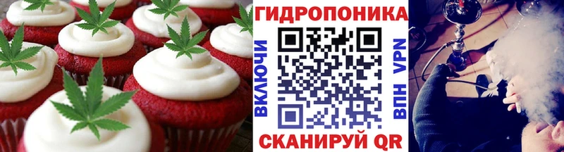Купить  Морозовск  Cannafood конопля 